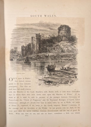 Picturesque Europe: A Delineation by Pen and Pencil of the Natural Features and the Picturesque and Historical Places of Great Britain and the Continent, 3 vol.