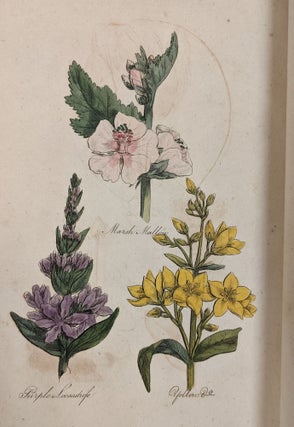 The Family Herbal, or an account of All Time English Plants, Which are Remarkable for Their Virtues, and of the Drugs Which are Produced by Vegetables of Other Countries